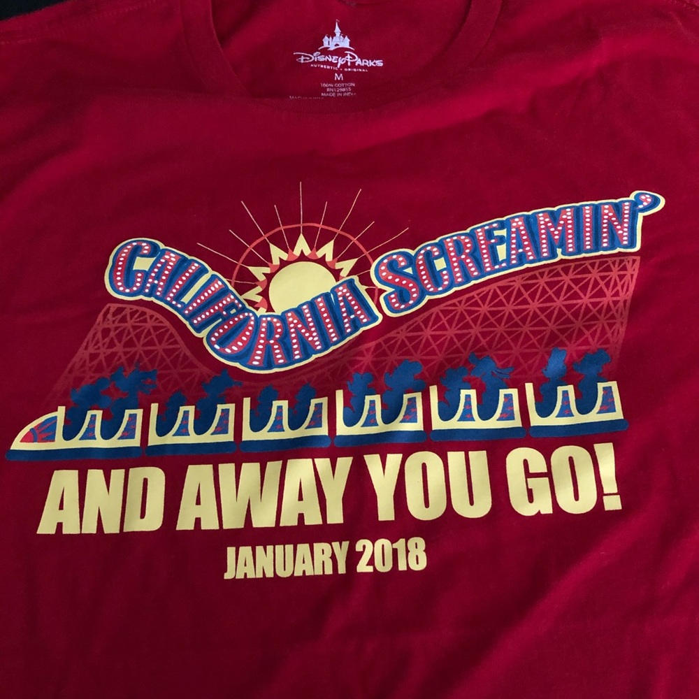 Men’s Disney Shirt